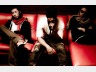 The New Classics「冬桜」