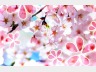 春のうた