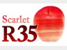 青春の歌 for R35 -Scarlet-