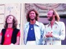 BEE GEES